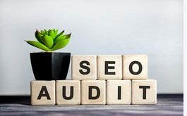Do SEO Audit for your website