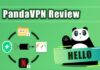 PandaVPN Review