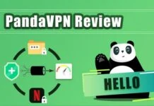 PandaVPN Review
