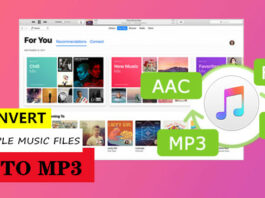 apple word processing aps apple word processing aps