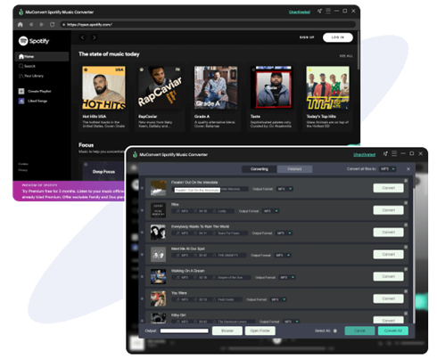 Built-in Spotify Web Player