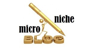 microniche blog